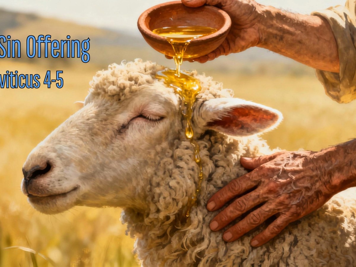 Leviticus 4-5: The Sin&nbsp;Offering